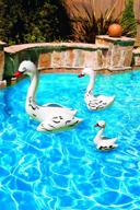 poolmaster swan family décor sizes logo