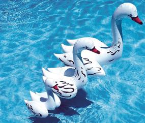 img 2 attached to Poolmaster Swan Family Décor Sizes