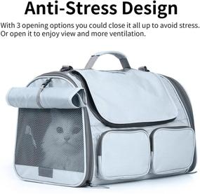img 2 attached to 🐱 FUKUMARU Airline Approved Cat Carrier - Breathable Soft-Sided Dog Carrier for Small Dogs and Puppies - Collapsible Pet Travel Carrier - Suitable for Medium Cats - Grey