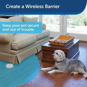 img 3 attached to PetSafe Pawz Away Mini Pet Barrier: Protect Your Home from Cats and Dogs - Waterproof, Adjustable Range up to 2 1/2 Feet Radius - Indoor and Outdoor Use