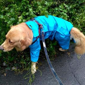 img 3 attached to 🐾 Alfie Pet - Bella Waterproof Raincoat for Dogs and Cats - Perfect for Rainy Days!