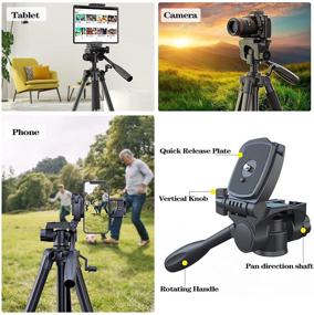 img 2 attached to 📸 Kingjue 60-inch Camera Tripod Stand for Canon Nikon DSLR Cameras | Universal Phone Tablet Holder, Remote Shutter, Carry Bag included