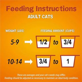 img 1 attached to 🐱 Friskies Tenders and Crunchy Combo: Chicken, Beef, Carrots, and Green Beans Dry Cat Food - 3.15 Lb Bag