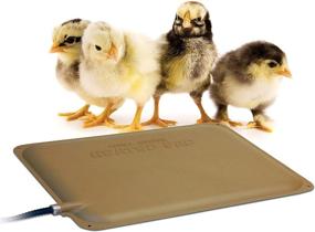 img 4 attached to 🔥 K&amp;H Thermo-Peep Heated Pad: Tan Petite 9 X 12 Inches for Optimal Pet Comfort