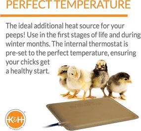 img 2 attached to 🔥 K&amp;H Thermo-Peep Heated Pad: Tan Petite 9 X 12 Inches for Optimal Pet Comfort