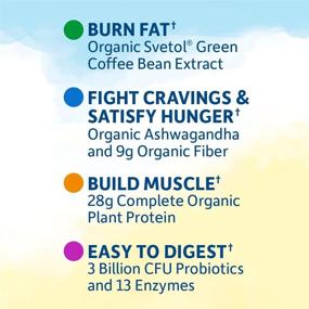img 1 attached to 🌿 Organic Raw Fit Protein Powder for Weight Loss, Fiber, Probiotics & Svetol - 32.8 Oz Vanilla Shake