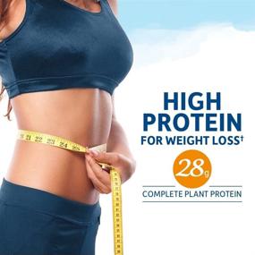 img 3 attached to 🌿 Organic Raw Fit Protein Powder for Weight Loss, Fiber, Probiotics & Svetol - 32.8 Oz Vanilla Shake