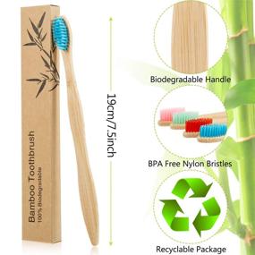 img 3 attached to 🌱 Biodegradable Natural Bamboo Toothbrushes with BPA-Free Bristles - 18pc multi-colored pack