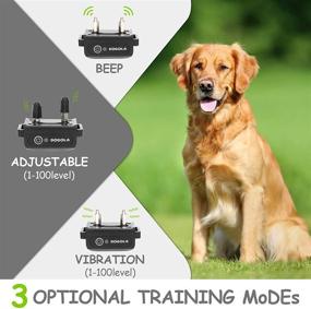 img 1 attached to 🐶 DOGOLA Dog Training Collar - Rechargeable Collar for Dogs with Remote, 3 Safe Training Modes, Waterproof Barking Collar, 3300Ft Remote Range, Shock Collar for Small Medium Large Dogs