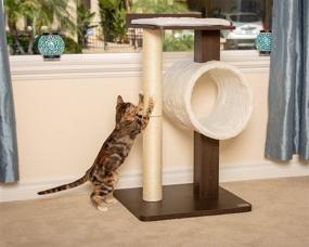 img 1 attached to 🐱 Modern Cat Tree House &amp; Tall Scratching Post (33&#34; Tall) by PetFusion. Stylish and Neutral Platforms with Espresso Finish