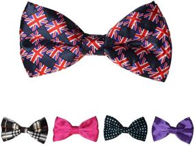 img 4 attached to DBFF0021 Multi Satin Romance Pre Tied Boys' Accessories for Bow Ties