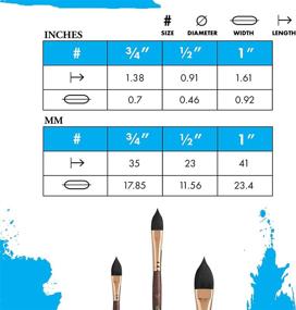 img 2 attached to 🖌️ Princeton Neptune Series 4750 Synthetic Squirrel Watercolor Brush - Oval Wash, 1/2 Inch Size