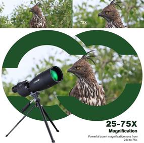 img 1 attached to 🔭 ESSLNB Spotting Scope: 25-75X 70 BAK4 Waterproof Straight Spotting Scope with Tripod & Phone Adapter for Target Shooting, Hunting, Bird Watching