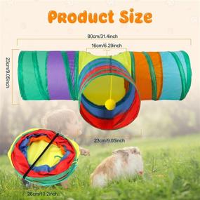 img 2 attached to 🐇 BWOGUE Bunny Tunnels & Tubes Collapsible 3 Way Hideout: Fun Activity Toys for Dwarf Rabbits, Guinea Pigs, and Kitties!