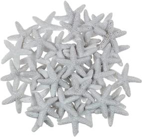 img 4 attached to 🌟 LJY 40 Count 1.2'' White Resin Pencil Finger Starfish for Wedding Decor, Home Crafts, and Project