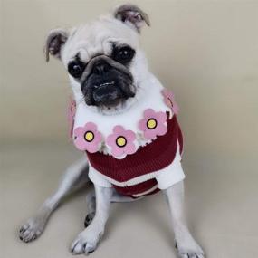 img 1 attached to 🐶 Small Dog Sweaters - Turtleneck Clothes for Boys and Girls, Extra Tiny Teacup Dog Cat Apparel - XS Size, Ideal for 5.5-6.6 lbs - Accessories and Supplies Included