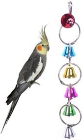 img 4 attached to Hypeety Colorful Chandelier Hanging Cockatiel