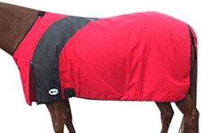 img 1 attached to 🐴 Intrepid International Prima Medium Weight Turnout Blanket: Ultimate Protection and Comfort for Your Horse