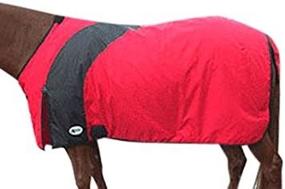 img 3 attached to 🐴 Intrepid International Prima Medium Weight Turnout Blanket: Ultimate Protection and Comfort for Your Horse