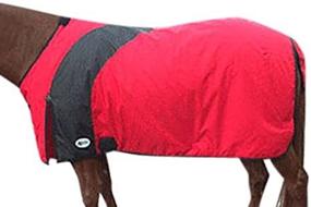 img 2 attached to 🐴 Intrepid International Prima Medium Weight Turnout Blanket: Ultimate Protection and Comfort for Your Horse