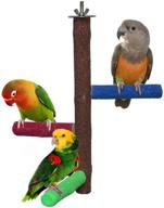 rypet parrot perch rough-surfaced - sand perches natural wood stand 🦜 for parakeet and other small birds: essential beak and claw trimming tool logo