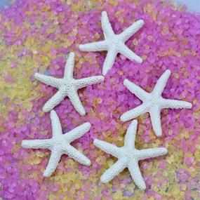 img 1 attached to 🌟 LJY 25 Pieces White Resin Pencil Finger Starfish | Wedding, Home Decor & Craft Project | 2.3 Inches