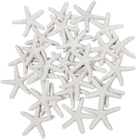 img 3 attached to 🌟 LJY 25 Pieces White Resin Pencil Finger Starfish | Wedding, Home Decor & Craft Project | 2.3 Inches