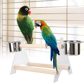 img 2 attached to Playstand Playgound Parakeets Lovebirds Cockatiels