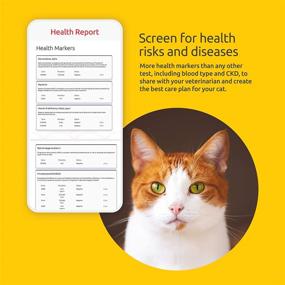 img 2 attached to Basepaws Cat DNA Test Kit: Explore 18 Breeds, Genetic 🐾 Health Report, Wildcat Index | Featured on Shark Tank and Ellen’s List