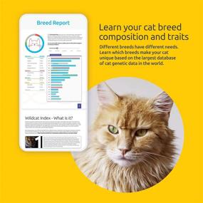 img 3 attached to Basepaws Cat DNA Test Kit: Explore 18 Breeds, Genetic 🐾 Health Report, Wildcat Index | Featured on Shark Tank and Ellen’s List