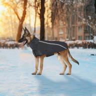 🐶 теплый и водонепроницаемый зимний пальто для собак slowton с шарфом-хомутом и отражающей полосой - идеальная уличная куртка для вашего любимого питомца логотип