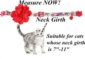 img 1 attached to 🌸 BoomBone Flower Cat Collar: Stylish Floral Accessories for Trendy Girl Puppies & Pets