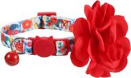 🌸 boombone flower cat collar: stylish floral accessories for trendy girl puppies & pets logo