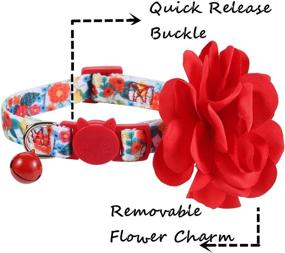 img 2 attached to 🌸 BoomBone Flower Cat Collar: Stylish Floral Accessories for Trendy Girl Puppies & Pets