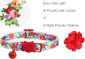 img 3 attached to 🌸 BoomBone Flower Cat Collar: Stylish Floral Accessories for Trendy Girl Puppies & Pets