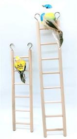 img 1 attached to Wooden Parrot Ladder Cage Climbing Toy - 2 Piece Set, Birdie Basics (6 Step & 8 Step)