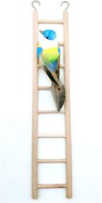 img 2 attached to Wooden Parrot Ladder Cage Climbing Toy - 2 Piece Set, Birdie Basics (6 Step & 8 Step)