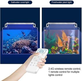 img 3 attached to 🐠 Feshen Aquarium Light: Full Spectrum LED Light for Freshwater/Saltwater Tanks, Remote Control, Programmable Timer, Planted Tank Light (30-32inch)