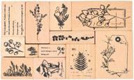 cliocoo 12pcs plants rubber stamp logo