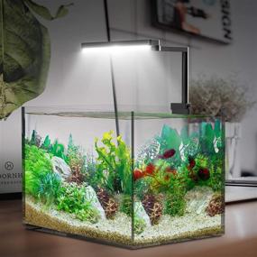 img 4 attached to 🌿 Chihiros C II Full Spectrum Dimmable LED Light with Bluetooth Controller: Ideal for Terrariums, Paludariums, and Nano Tanks up to 18 inches in Length