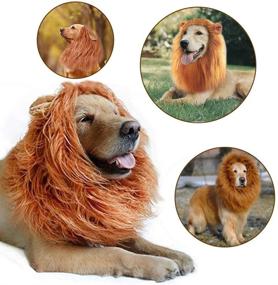 img 1 attached to MR.FOAM Lion Mane Dog Costume: Halloween Pet Wig Clothes for Medium to Large Sized Dogs