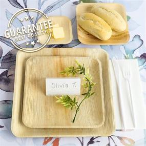 img 2 attached to 🌿 4 inch Mini Tasting Party Plates - Biodegradable Palm Leaf Plates - 25 Bamboo-look Disposable Plates - Eco-Friendly Alternative - Heavy-Duty Paper Plates - Great for Appetizers by brheez