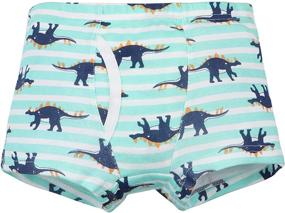 img 1 attached to Secdtie Dinosaur Toddler Underwear Striped Boys' Clothing and Underwear