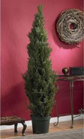 img 1 attached to 🌲 Stunning 6ft. Nearly Natural Mini Cedar Pine Tree for Indoor and Outdoor Use - Vibrant Green, 6ft. Height