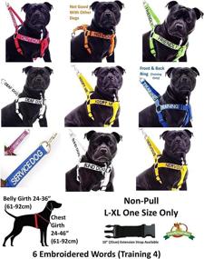 img 1 attached to 🐶 Friendly Green L-XXL Semi-Choke Dog Collar (Color Coded & Prevents Accidents) - Effectively Alerts Others about Your Dog