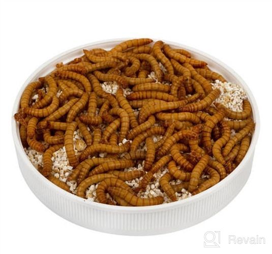 img 1 attached to 🦎 10lbs Premium Non-GMO Dried Mealworms for Reptiles, Tortoises, Amphibians, Lizards, Wild Birds, Chickens, Ducks, and More review by Doris Tran