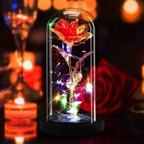 img 4 attached to Glass Christmas Rose Gift for Her - Women, Girlfriend, Mom, Wife, Grandma - Beauty and The Beast Rose Flower - Perfect Xmas, Valentine's Day, Mother's Day, Anniversary, Birthday, Thanksgiving Present