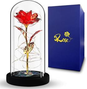 img 3 attached to Glass Christmas Rose Gift for Her - Women, Girlfriend, Mom, Wife, Grandma - Beauty and The Beast Rose Flower - Perfect Xmas, Valentine's Day, Mother's Day, Anniversary, Birthday, Thanksgiving Present