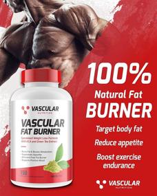 img 3 attached to Пищевые добавки для сжигания жира от "Vascular Nutrition": повысьте эффективность своего путешествия по снижению веса.