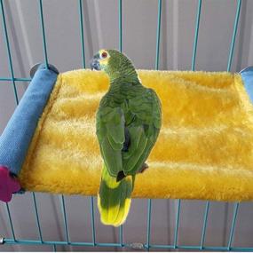 img 3 attached to 🐦 Cozy Winter Bird Nest Hammock Bed Toy for Pet Parrot Parakeet Cockatiel Conure Cockatoo African Grey Eclectus Amazon Lovebird Budgie Finch Canary Hamster Rat Chinchilla Squirrel - Ideal Cage Perch